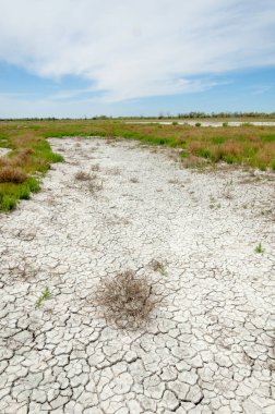 Bozkır tuzlu topraklar. tuz tuz tuz. Bozkır çayır veldt veld. Tuzlu toprak çöl, tuzlu Göller. cansız yanıp kavrulmuş dünyamız. Kazakistan çıplak bozkır