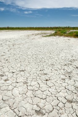 Bozkır tuzlu topraklar. tuz tuz tuz. Bozkır çayır veldt veld. Tuzlu toprak çöl, tuzlu Göller. cansız yanıp kavrulmuş dünyamız. Kazakistan çıplak bozkır
