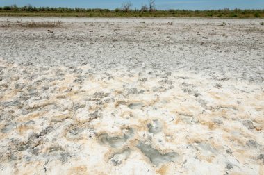Bozkır tuzlu topraklar. tuz tuz tuz. Bozkır çayır veldt veld. Tuzlu toprak çöl, tuzlu Göller. cansız yanıp kavrulmuş dünyamız. Kazakistan çıplak bozkır