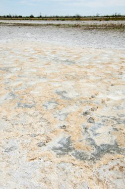 Bozkır tuzlu topraklar. tuz tuz tuz. Bozkır çayır veldt veld. Tuzlu toprak çöl, tuzlu Göller. cansız yanıp kavrulmuş dünyamız. Kazakistan çıplak bozkır