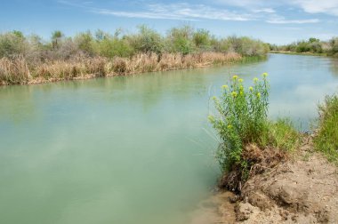 Bozkır nehir sazlık yaz. nehir görünümünde kez izlendi. küçük mavi nehir kıyısında güneşli bir gün