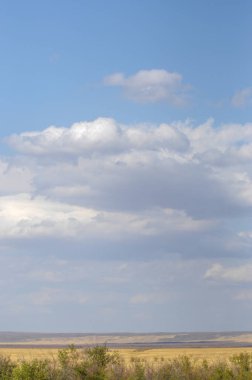 Woodless, zavallı nemi ve genellikle düz ile kuru iklim bölgesinde otsu bitki örtüsü bozkır. çayır, veld, veldt