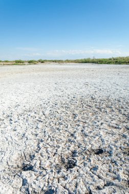 Bozkır tuzlu topraklar. tuz tuz tuz. Bozkır çayır veldt veld. Tuzlu toprak çöl, tuzlu Göller. cansız yanıp kavrulmuş dünyamız. Kazakistan çıplak bozkır