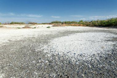 Bozkır tuzlu topraklar. tuz tuz tuz. Bozkır çayır veldt veld. Tuzlu toprak çöl, tuzlu Göller. cansız yanıp kavrulmuş dünyamız. Kazakistan çıplak bozkır