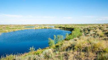 Güzel gökyüzü altında küçük bir göl. Bozkır içinde bataklıkta ile güzel yaz günü manzara. Göl sahnesinde yaz