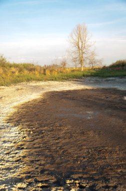 Bozkır tuzlu topraklar. tuz tuz tuz. Bozkır çayır veldt veld. Tuzlu toprak çöl, tuzlu Göller. cansız yanıp kavrulmuş dünyamız. Kazakistan çıplak bozkır