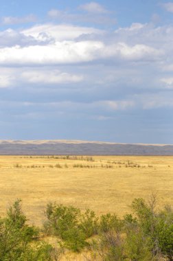 Woodless, zavallı nemi ve genellikle düz ile kuru iklim bölgesinde otsu bitki örtüsü bozkır. çayır, veld, veldt