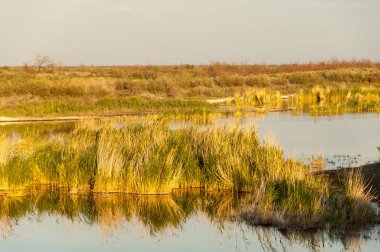 Güzel gökyüzü altında küçük bir göl. akşam olay yerinde bozkır, yatay, bozkır güzel yaz gün bataklıkta gölde. Göl sahnesinde yaz