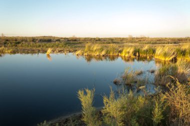 Güzel gökyüzü altında küçük bir göl. akşam olay yerinde bozkır, yatay, bozkır güzel yaz gün bataklıkta gölde. Göl sahnesinde yaz