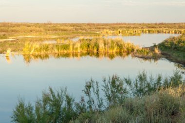 Güzel gökyüzü altında küçük bir göl. akşam olay yerinde bozkır, yatay, bozkır güzel yaz gün bataklıkta gölde. Göl sahnesinde yaz