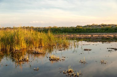 Güzel gökyüzü altında küçük bir göl. akşam olay yerinde bozkır, yatay, bozkır güzel yaz gün bataklıkta gölde. Göl sahnesinde yaz