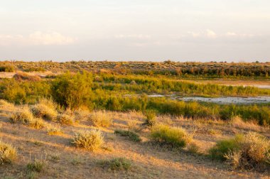 Güzel gökyüzü altında küçük bir göl. akşam olay yerinde bozkır, yatay, bozkır güzel yaz gün bataklıkta gölde. Göl sahnesinde yaz
