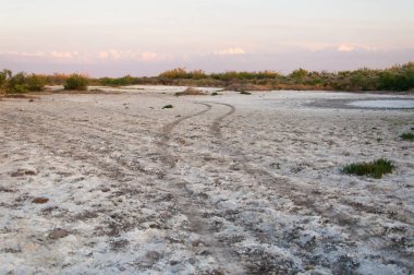 Bozkır tuzlu topraklar. tuz tuz tuz. Bozkır çayır veldt veld. Tuzlu toprak çöl, tuzlu Göller. cansız yanıp kavrulmuş dünyamız. Kazakistan çıplak bozkır