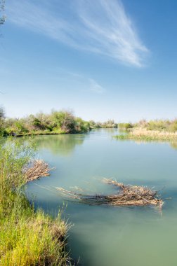Güzel gökyüzü altında küçük bir göl. Bozkır içinde bataklıkta ile güzel yaz günü manzara. Göl sahnesinde yaz
