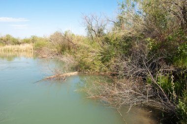 Güzel gökyüzü altında küçük bir göl. Bozkır içinde bataklıkta ile güzel yaz günü manzara. Göl sahnesinde yaz