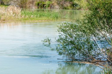 Bozkır nehir sazlık yaz. nehir görünümünde kez izlendi. küçük mavi nehir kıyısında güneşli bir gün