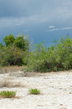 Bozkır tuzlu topraklar. tuz tuz tuz. Bozkır çayır veldt veld. Tuzlu toprak çöl, tuzlu Göller. cansız yanıp kavrulmuş dünyamız. Kazakistan çıplak bozkır