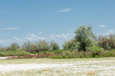 Bozkır tuzlu topraklar. tuz tuz tuz. Bozkır çayır veldt veld. Tuzlu toprak çöl, tuzlu Göller. cansız yanıp kavrulmuş dünyamız. Kazakistan çıplak bozkır