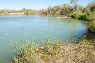 Bozkır nehir sazlık yaz. nehir görünümünde kez izlendi. küçük mavi nehir kıyısında güneşli bir gün