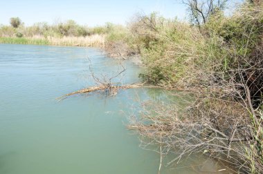 Bozkır nehir sazlık yaz. nehir görünümünde kez izlendi. küçük mavi nehir kıyısında güneşli bir gün