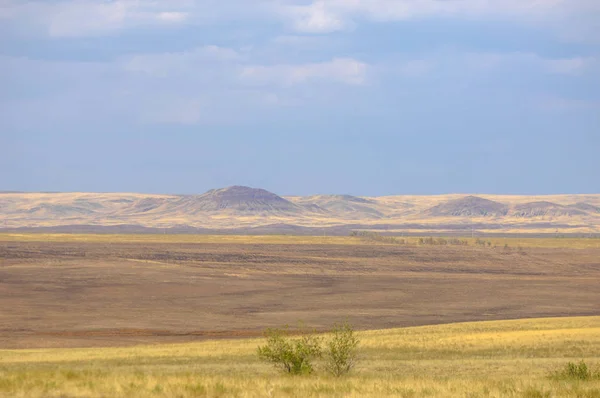 Steppe Est Sans Bois Pauvre Humidité Généralement Plate Avec Une — Photo