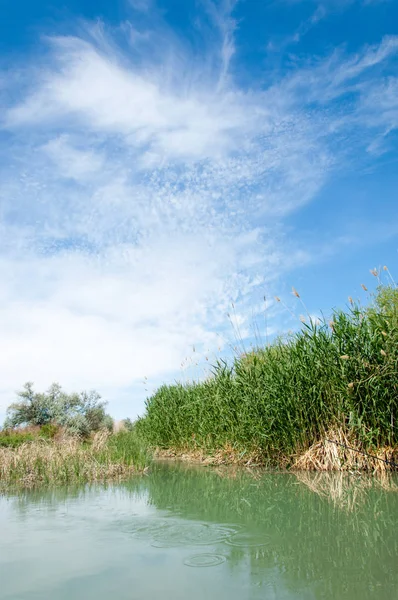 Bozkır nehir sazlık yaz. nehir görünümünde kez izlendi. küçük mavi nehir kıyısında güneşli bir gün