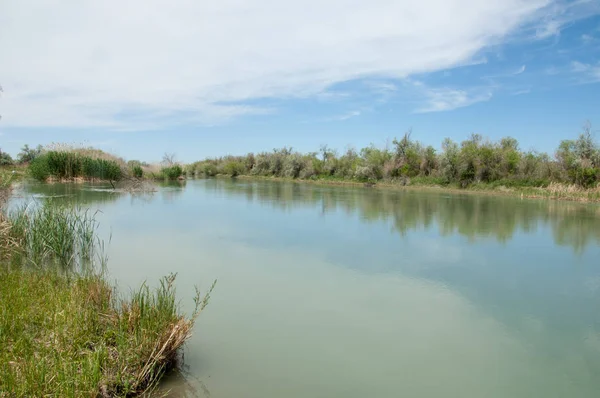 Bozkır nehir sazlık yaz. nehir görünümünde kez izlendi. küçük mavi nehir kıyısında güneşli bir gün