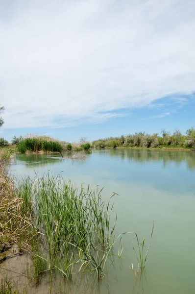 Bozkır nehir sazlık yaz. nehir görünümünde kez izlendi. küçük mavi nehir kıyısında güneşli bir gün