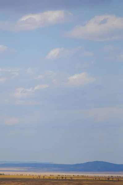 Steppe Est Sans Bois Pauvre Humidité Généralement Plate Avec Une — Photo