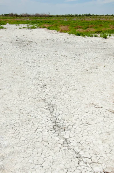 Bozkır tuzlu topraklar. tuz tuz tuz. Bozkır çayır veldt veld. Tuzlu toprak çöl, tuzlu Göller. cansız yanıp kavrulmuş dünyamız. Kazakistan çıplak bozkır