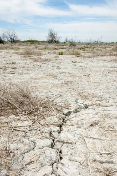 Bozkır tuzlu topraklar. tuz tuz tuz. Bozkır çayır veldt veld. Tuzlu toprak çöl, tuzlu Göller. cansız yanıp kavrulmuş dünyamız. Kazakistan çıplak bozkır