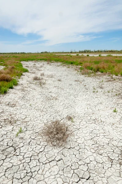 Bozkır tuzlu topraklar. tuz tuz tuz. Bozkır çayır veldt veld. Tuzlu toprak çöl, tuzlu Göller. cansız yanıp kavrulmuş dünyamız. Kazakistan çıplak bozkır