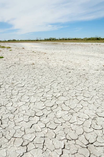 Bozkır tuzlu topraklar. tuz tuz tuz. Bozkır çayır veldt veld. Tuzlu toprak çöl, tuzlu Göller. cansız yanıp kavrulmuş dünyamız. Kazakistan çıplak bozkır