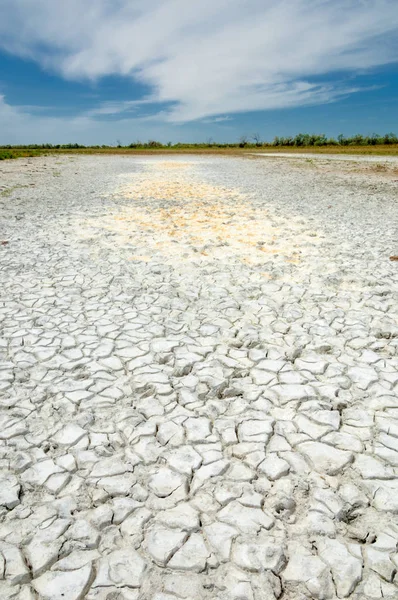 Bozkır tuzlu topraklar. tuz tuz tuz. Bozkır çayır veldt veld. Tuzlu toprak çöl, tuzlu Göller. cansız yanıp kavrulmuş dünyamız. Kazakistan çıplak bozkır