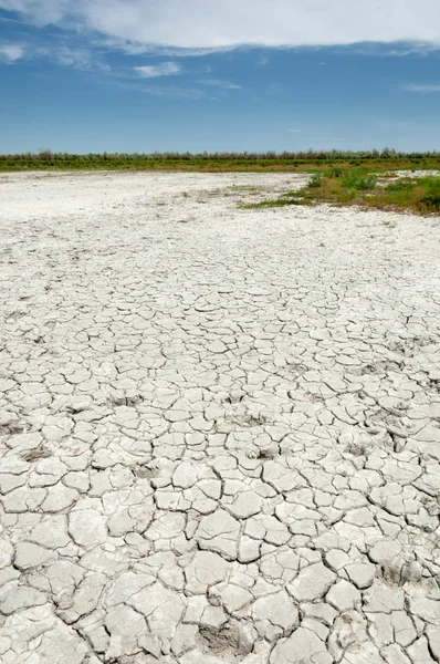 Bozkır tuzlu topraklar. tuz tuz tuz. Bozkır çayır veldt veld. Tuzlu toprak çöl, tuzlu Göller. cansız yanıp kavrulmuş dünyamız. Kazakistan çıplak bozkır