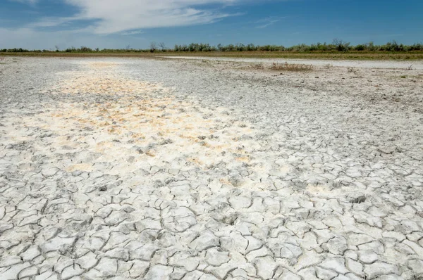 Bozkır tuzlu topraklar. tuz tuz tuz. Bozkır çayır veldt veld. Tuzlu toprak çöl, tuzlu Göller. cansız yanıp kavrulmuş dünyamız. Kazakistan çıplak bozkır
