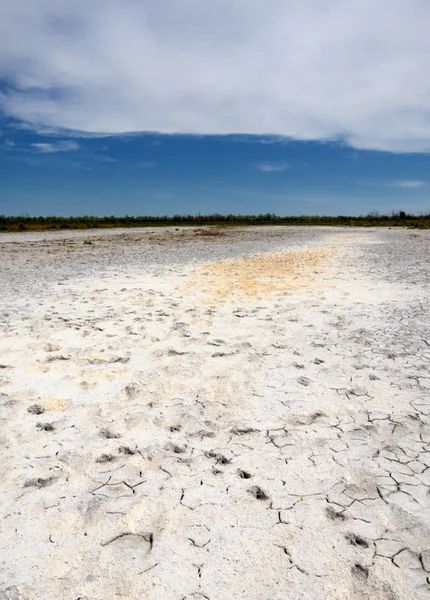 Bozkır tuzlu topraklar. tuz tuz tuz. Bozkır çayır veldt veld. Tuzlu toprak çöl, tuzlu Göller. cansız yanıp kavrulmuş dünyamız. Kazakistan çıplak bozkır