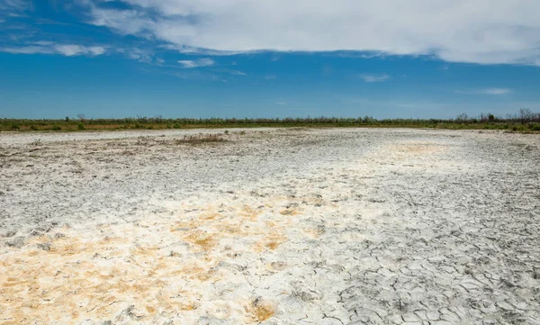 Bozkır tuzlu topraklar. tuz tuz tuz. Bozkır çayır veldt veld. Tuzlu toprak çöl, tuzlu Göller. cansız yanıp kavrulmuş dünyamız. Kazakistan çıplak bozkır