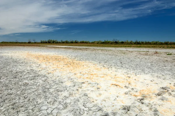 Bozkır tuzlu topraklar. tuz tuz tuz. Bozkır çayır veldt veld. Tuzlu toprak çöl, tuzlu Göller. cansız yanıp kavrulmuş dünyamız. Kazakistan çıplak bozkır