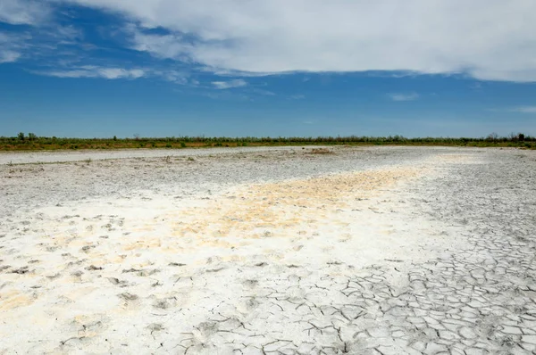 Bozkır tuzlu topraklar. tuz tuz tuz. Bozkır çayır veldt veld. Tuzlu toprak çöl, tuzlu Göller. cansız yanıp kavrulmuş dünyamız. Kazakistan çıplak bozkır