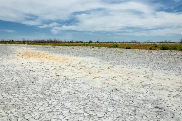 Bozkır tuzlu topraklar. tuz tuz tuz. Bozkır çayır veldt veld. Tuzlu toprak çöl, tuzlu Göller. cansız yanıp kavrulmuş dünyamız. Kazakistan çıplak bozkır