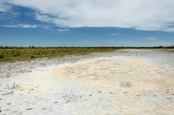 Bozkır tuzlu topraklar. tuz tuz tuz. Bozkır çayır veldt veld. Tuzlu toprak çöl, tuzlu Göller. cansız yanıp kavrulmuş dünyamız. Kazakistan çıplak bozkır