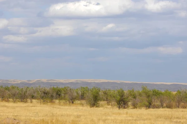 Die Steppe Ist Holzlos Feuchtigkeitsarm Und Der Trockenen Klimazone Meist — Stockfoto