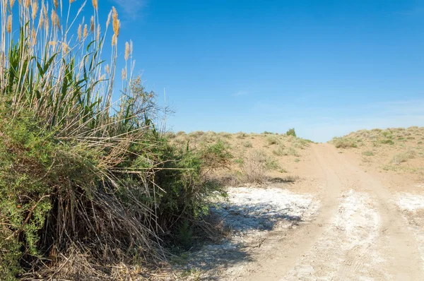 Bozkır tuzlu topraklar. tuz tuz tuz. Bozkır çayır veldt veld. Tuzlu toprak çöl, tuzlu Göller. cansız yanıp kavrulmuş dünyamız. Kazakistan çıplak bozkır