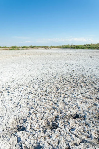 Bozkır tuzlu topraklar. tuz tuz tuz. Bozkır çayır veldt veld. Tuzlu toprak çöl, tuzlu Göller. cansız yanıp kavrulmuş dünyamız. Kazakistan çıplak bozkır