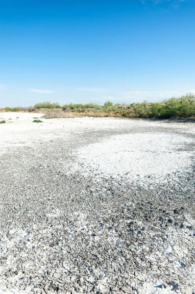 Bozkır tuzlu topraklar. tuz tuz tuz. Bozkır çayır veldt veld. Tuzlu toprak çöl, tuzlu Göller. cansız yanıp kavrulmuş dünyamız. Kazakistan çıplak bozkır