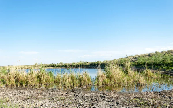 Petit Lac Sous Beau Ciel Paysage Avec Tourbière Dans Steppe — Photo