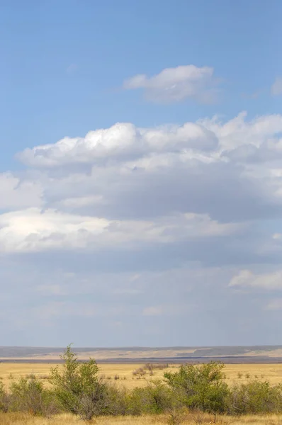 Steppe Est Sans Bois Pauvre Humidité Généralement Plate Avec Une — Photo