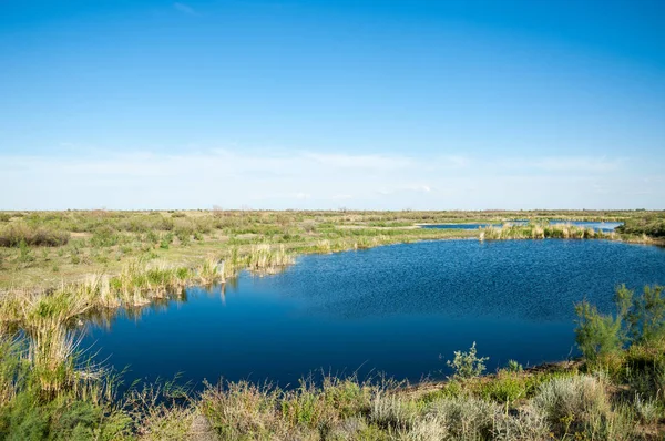 Güzel gökyüzü altında küçük bir göl. Bozkır içinde bataklıkta ile güzel yaz günü manzara. Göl sahnesinde yaz