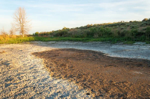 Bozkır tuzlu topraklar. tuz tuz tuz. Bozkır çayır veldt veld. Tuzlu toprak çöl, tuzlu Göller. cansız yanıp kavrulmuş dünyamız. Kazakistan çıplak bozkır